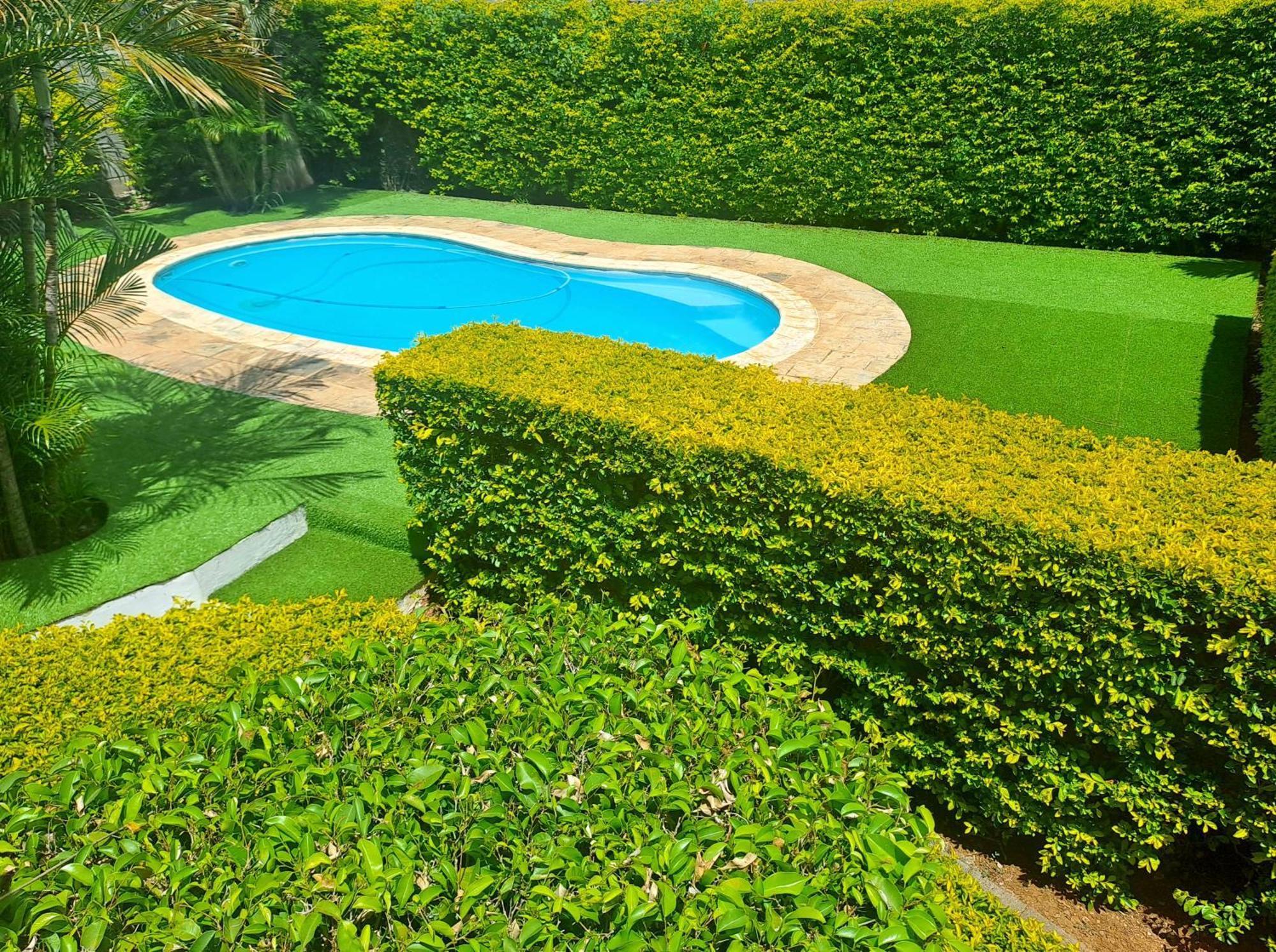Appartement Paisible Avec Jardin & Piscine Albion Exteriör bild